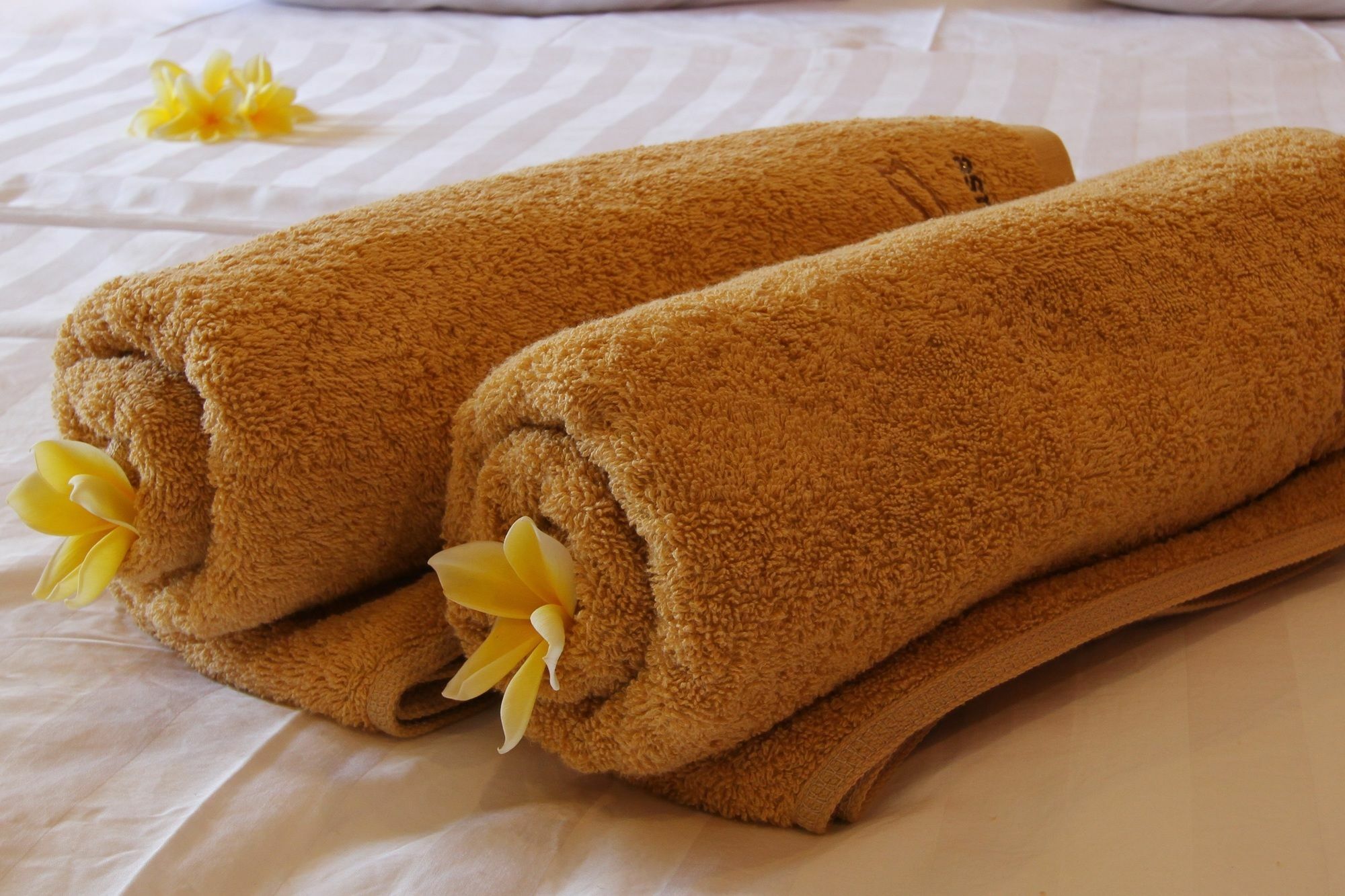 Saren Guest House Canggu Dış mekan fotoğraf